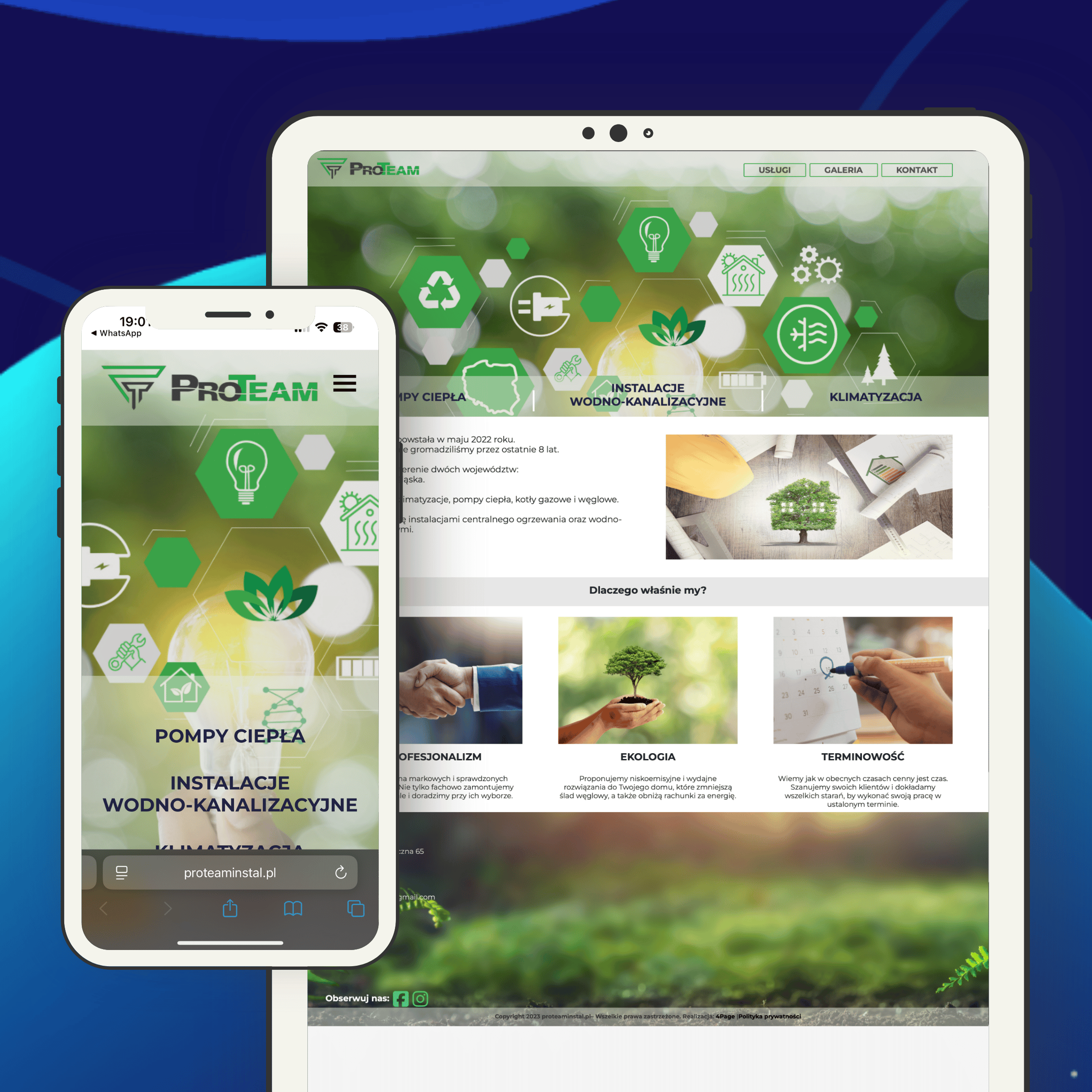 Strona instalatora ProteamInstal